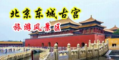 美女和男人操逼视频网站中国北京-东城古宫旅游风景区
